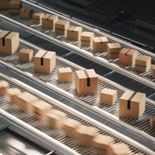 Payment and Order Processing 