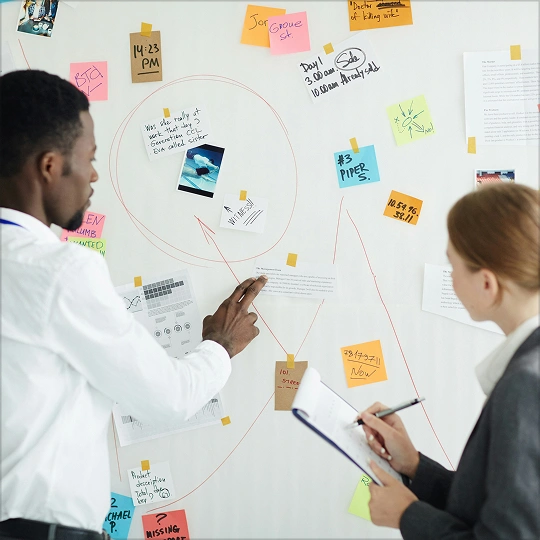 Feedback And Surveys