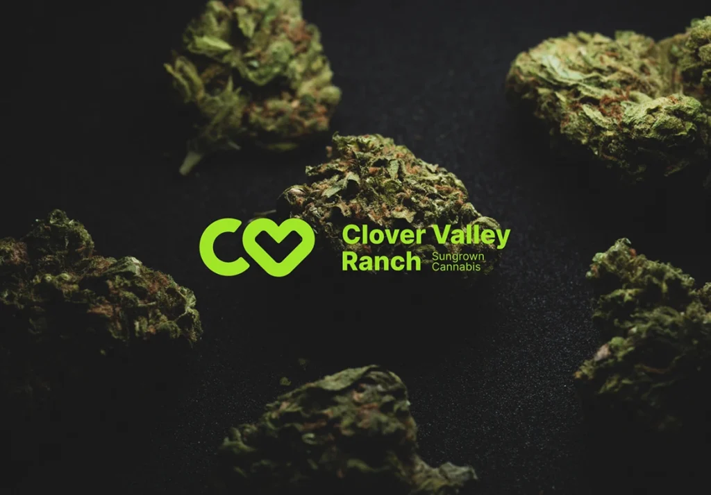 Clover Valley Ranch reaches a 4% conversion rate from outbound email campaigns, increases brand visibility, and gets a new identity