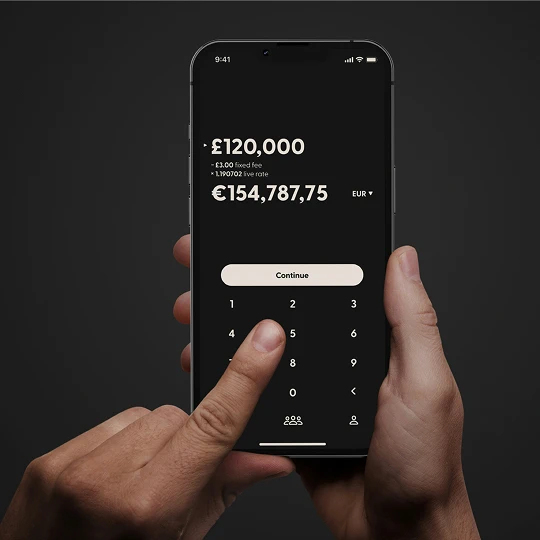 a mobile phone, a person using it is about to send 120,000 euros to someone (I wish it was me)