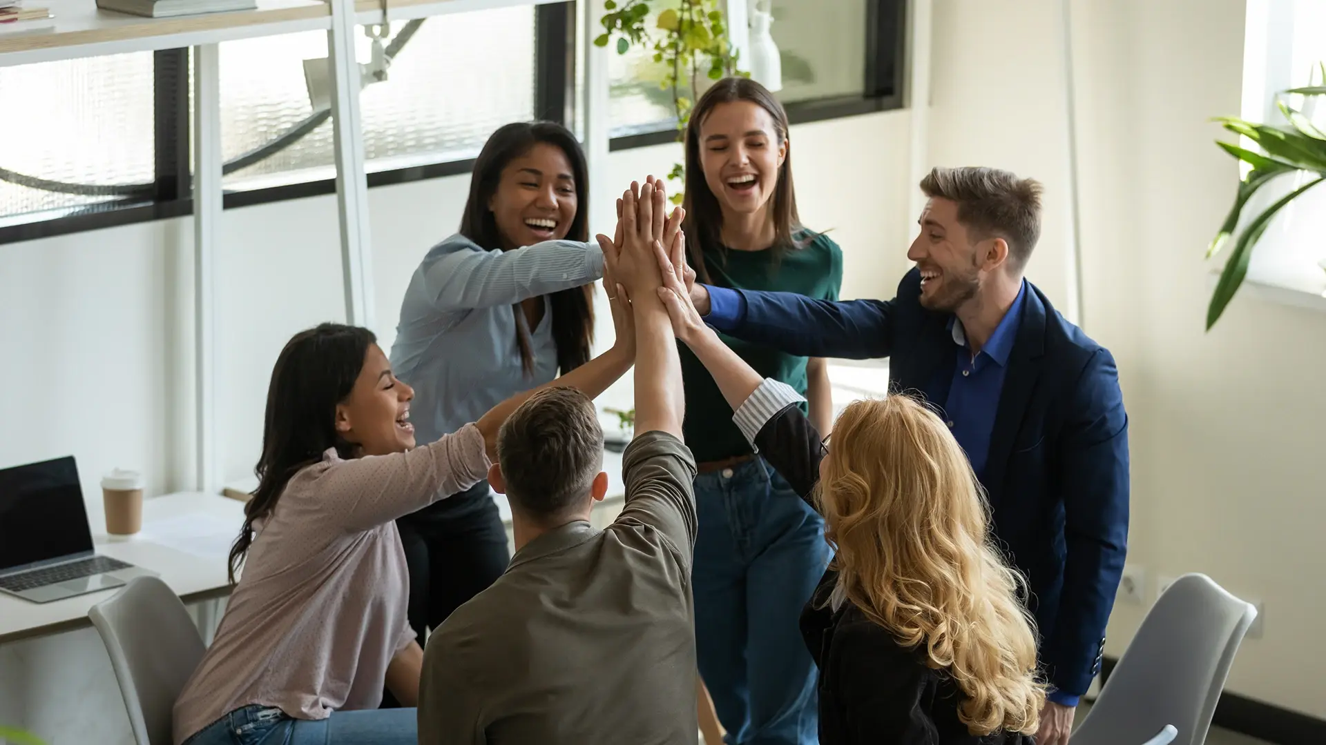 A team of six colleagues laughing and high-fiving in a circle in their modern office
