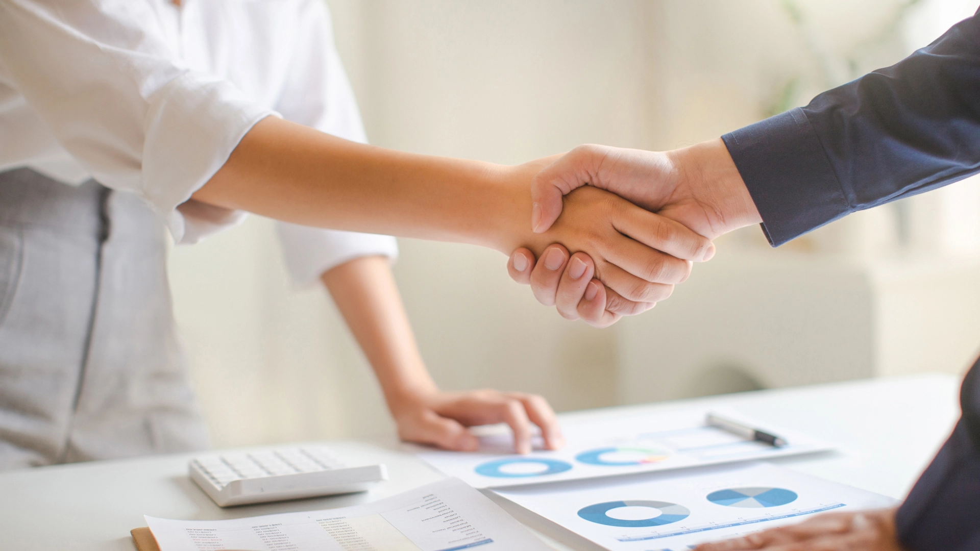 A handshake between two people